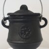 Cauldronpot__08739