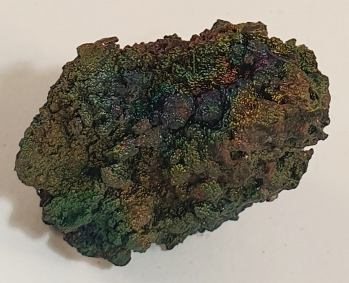 Coprolite_Fossil_Dinosaur_Poo5__19501