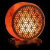 FlowerOfLife__84826