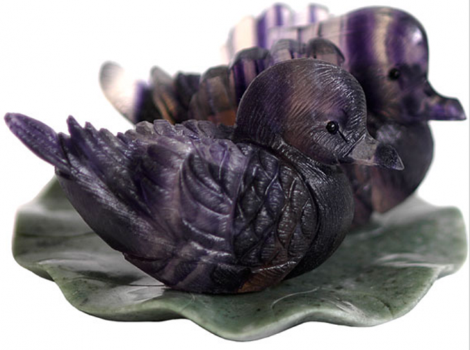 FluoriteDucks__95078