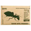 GoodbyeFriendsAnts__55427