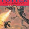HarryPotterAndTheGobletOfFire__87743