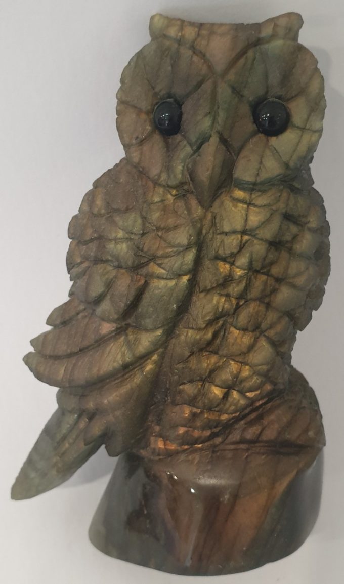 LabradoriteOwl3__14715