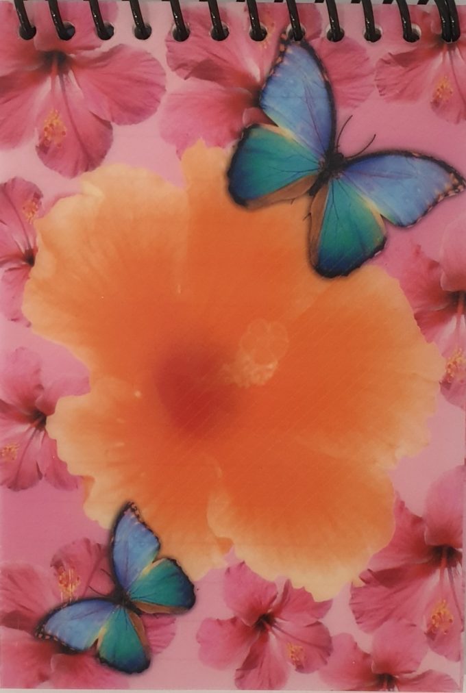 MagnetButterflyNoteBookOrange__37246