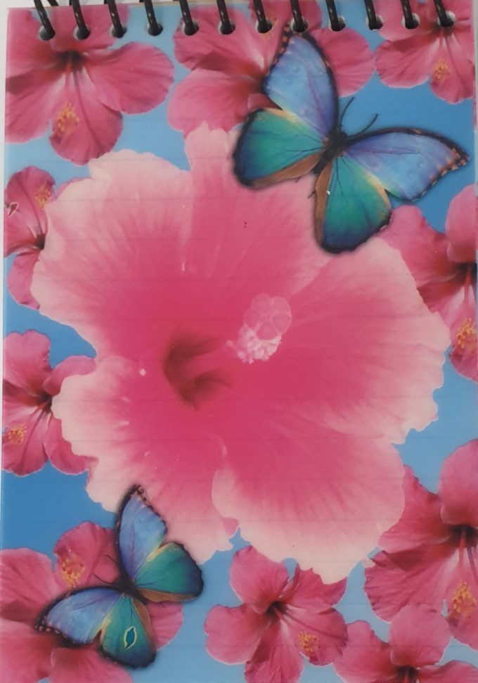 MagnetButterflyNoteBookPink__94963
