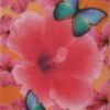 MagnetButterflyNoteBookRed__27466