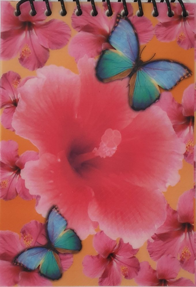 MagnetButterflyNoteBookRed__27466
