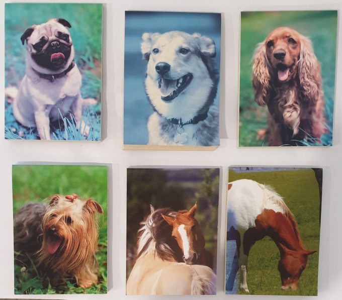 NotebookDogHorse2__32758