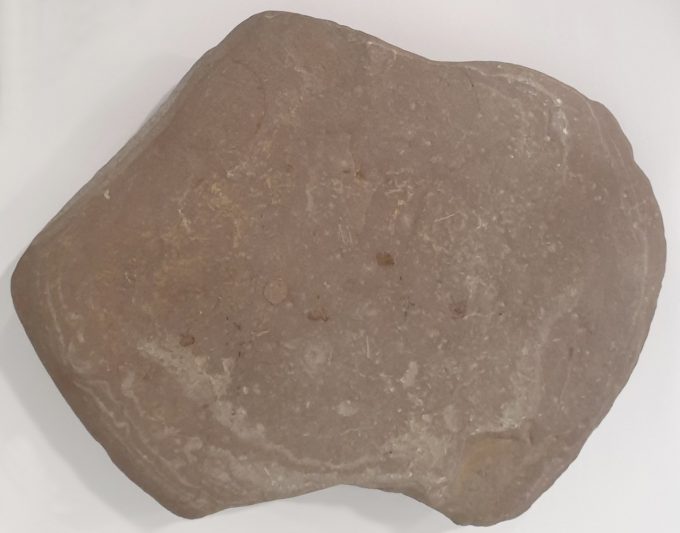 PetrifiedWoodChunk__71358