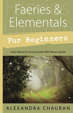 FaeriesAndElementalsForBeginnersBook__08206