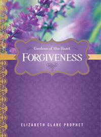 Forgiveness__66401