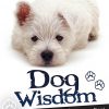 Oracle_Cards_-_Dog_Wisdom_Oracle_Cards__87392