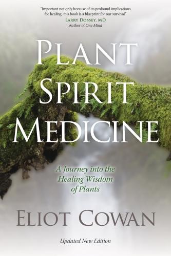 PlantSpiritMedicineBook__53018