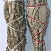 Smudge_Items_-_White_Sage_and_Mugwort1__70288