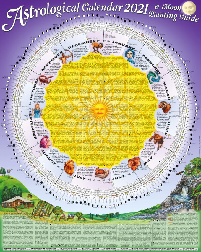 Thomas_Zimmer_2021__46009