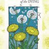 Top_Five_Regrets_of_the_Dying_Book__96050